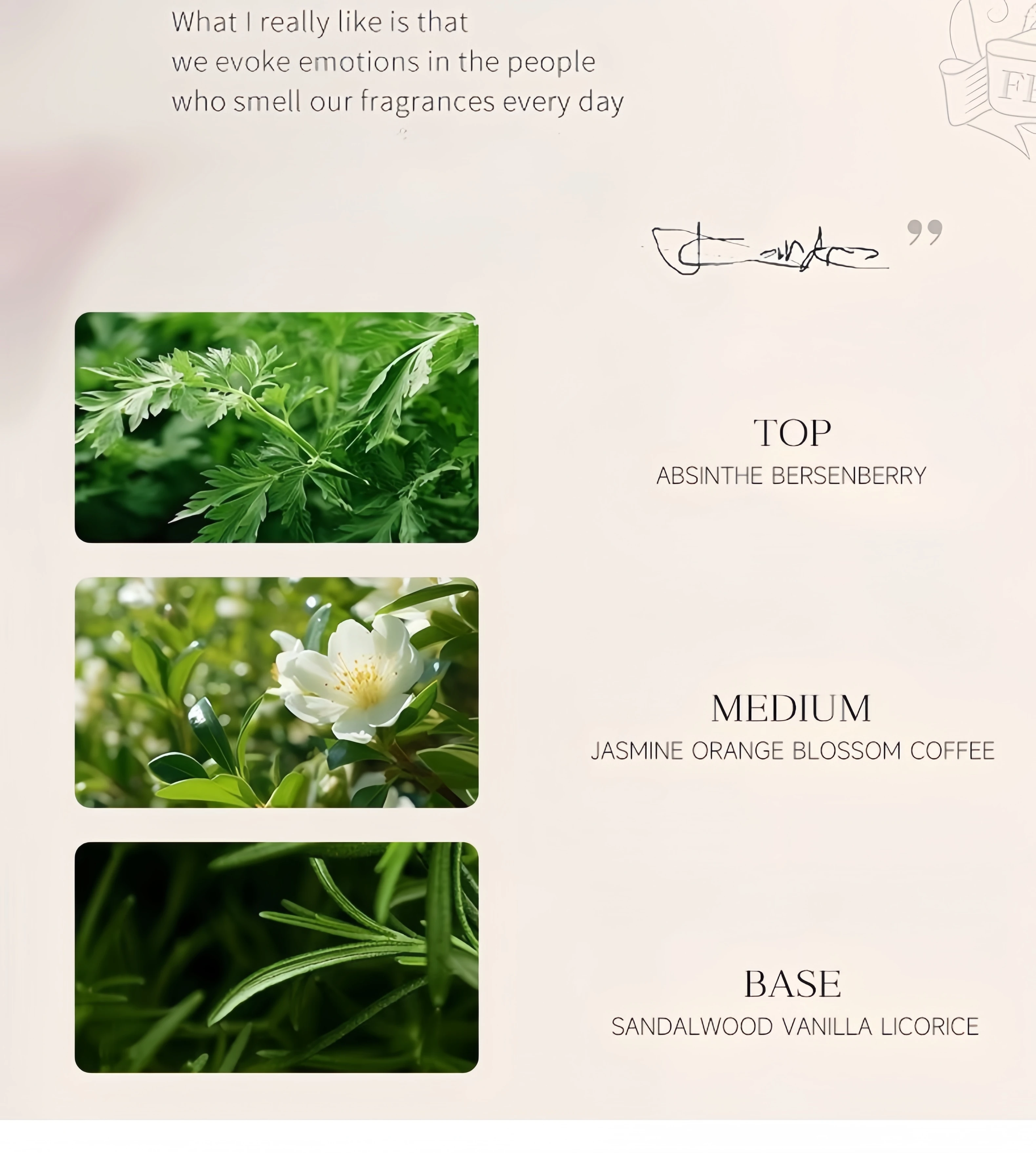 50ML Original Brand Perfume Charming Sexy Lady Body Spray Men Women's Perfumes High-Quality Long Lasting Fragrance