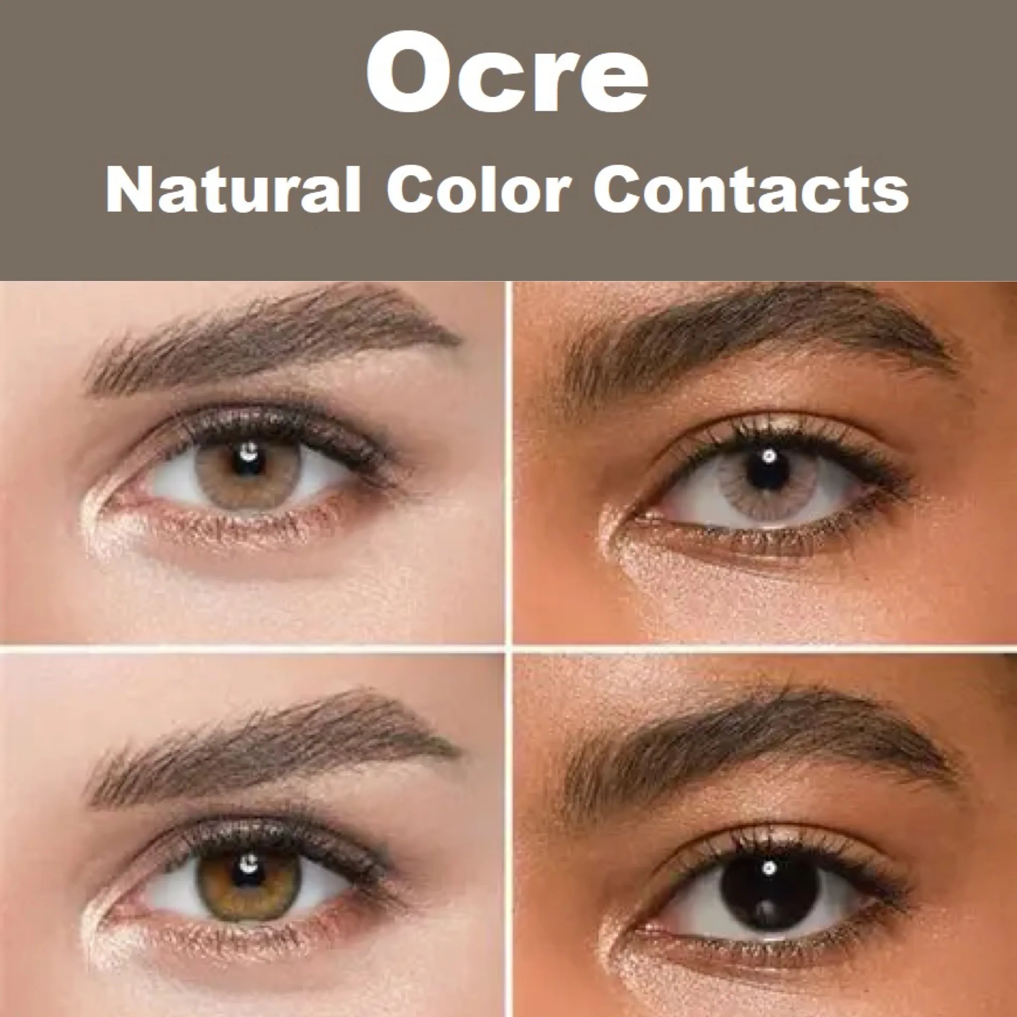 Contact Lenses