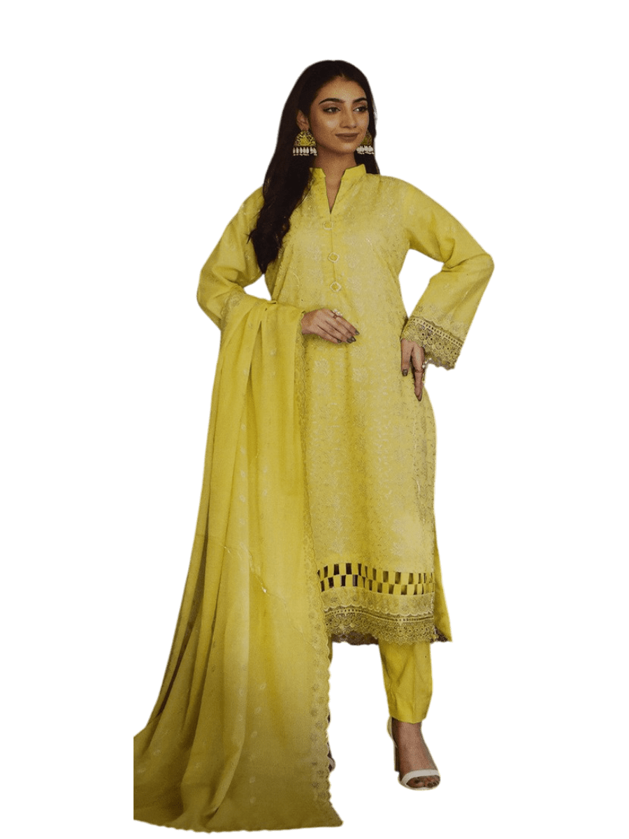 Women unstitched chichkankari lawn